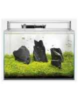 Superfish Scaper 60